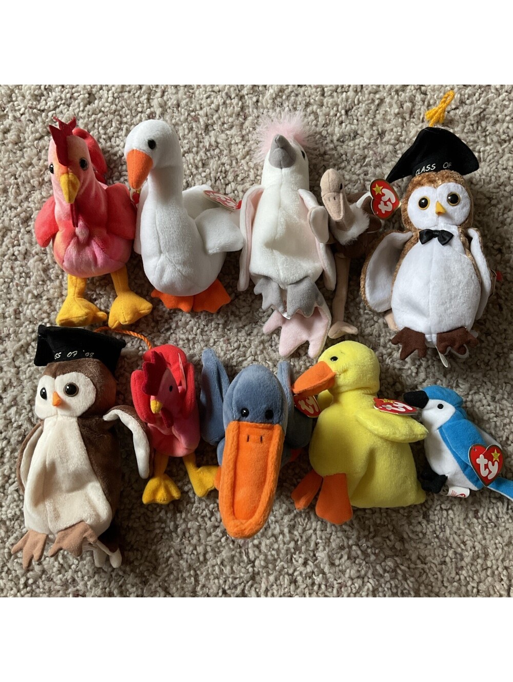 Ty Beanie Baby Bird Lot Of 10 W/Tags 1990s Vintage In Excellent Condition Lot 1